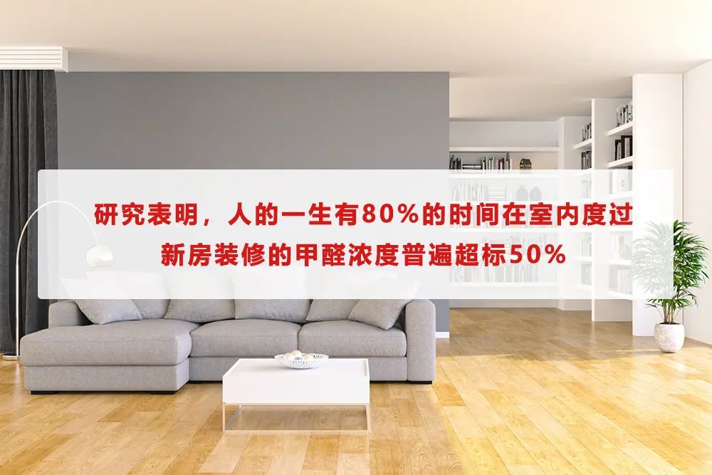 绿植，活性炭能除甲醛吗