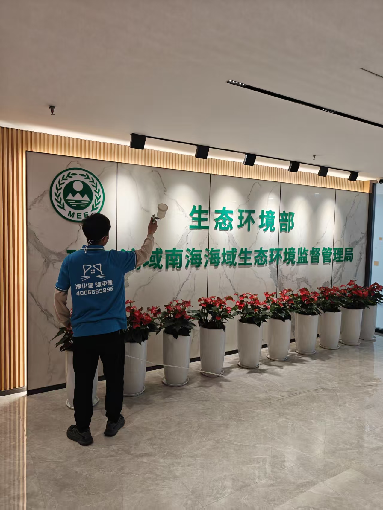  再获认可！生态美家为“海洋生态守护者”打造清新办公空间